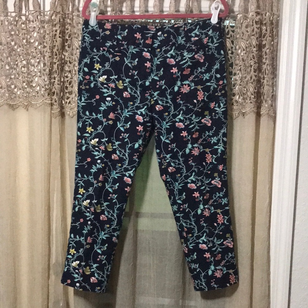 Ann Taylor Loft Ankle Pants